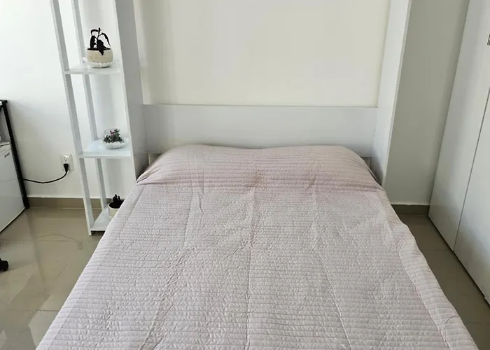 Habitación Con Baño Privado En Departamento Compartido Cerca De Zona De Conciertos México DF