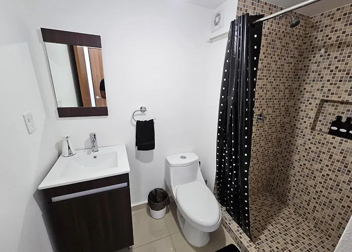 Habitación Con Baño Privado En Departamento Compartido Cerca De Zona De Conciertos * México DF